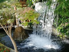 -热带风暴水上乐园(新镇路)