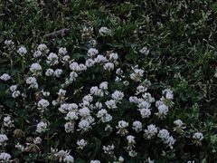 -钟山体育运动公园