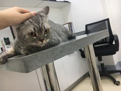 -萌兽医馆·绝育·24小时内科·宠物医院(德胜店)
