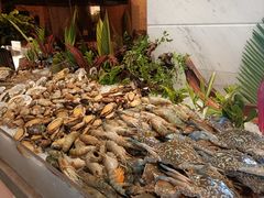 -鲤鱼洲酒店港鲤咖啡厅