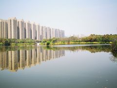 -成都南湖公园