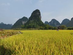 -三门海