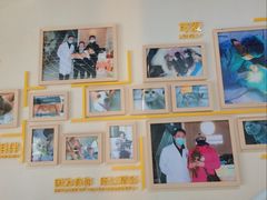 -子乐宠物医院