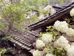 -MOJ coffee(瓯海泽雅水碓坑店)