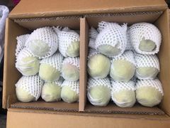 -双福水果批发市场