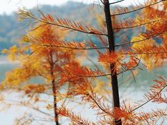 -天目湖山水园