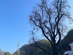 -丹山赤水风景名胜区