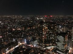 -东京都厅舍