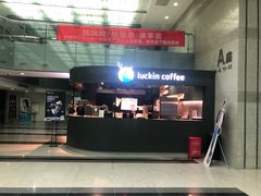 -瑞幸咖啡(尚都国际店)