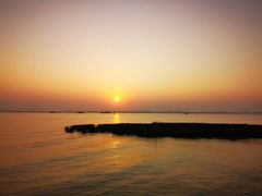 -芒洲湿地公园