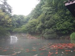 -兰溪地下长河