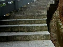 -神光山国家森林公园