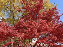 -ZOO COFFEE动物园咖啡(望京锐创店)