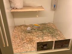 -龙猫仔乐园(惠福东路店)