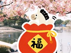 -新江湾城公园