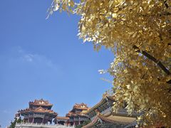 -广东圆玄道观