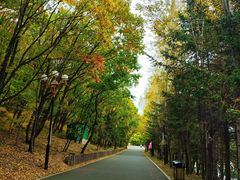 -六鼎山文化旅游区