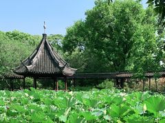 -上海醉白池公园