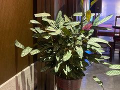 -面辣子·陕西家乡菜(长安店)