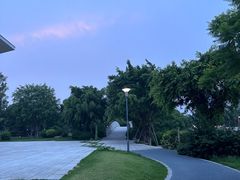 -光明港公园