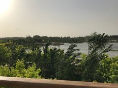 -东郊湿地公园
