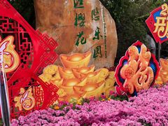 -天适樱花悠乐园