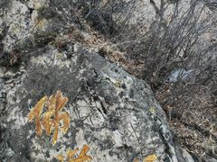 -辛安庄鸡鸣山景区