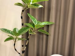 -成都仁和新城购物中心
