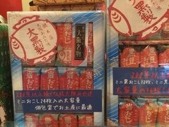-章鱼烧博物馆(TAKOYAKI PARK)