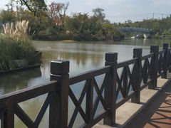 -上海长兴岛郊野公园