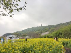 -苏州上方山国家森林公园