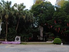 -广州市流溪河国家森林公园
