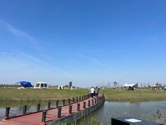 -春花秋色城市公园