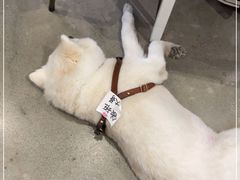 -VOYAGE COFFEE 咖啡烘焙工坊店(798艺术区店)