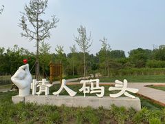 -东郊湿地公园