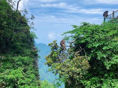 -峨眉山风景名胜区