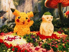 -花之城