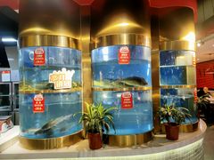 -蜀滋香鲜鱼美蛙火锅(339店)