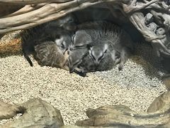 -昆明大悦城未来动物城(螺蛳湾中心店)