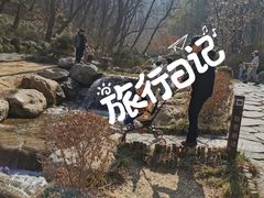 -大连植物园