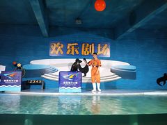 -南昌海洋公园