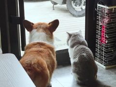 -22cafe
