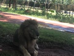 -海南热带野生动植物园