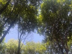 -南湖梦幻岛