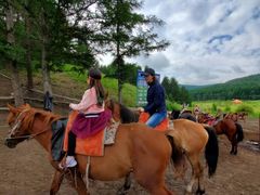 -塞罕坝国家级自然保护区