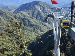-栾川竹海野生动物园
