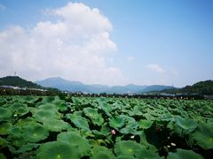 -古田会议纪念馆