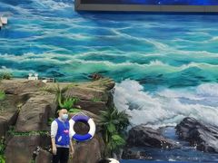 -多彩贵州城极地海洋世界