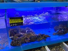 -臻悦海宴.家宴(奥体中心店)