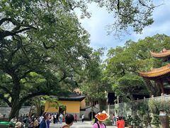 -普陀山风景名胜区-法雨禅寺